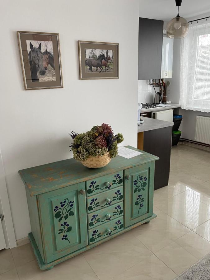 Apartamenty Cud Miod Krosno Bagian luar foto